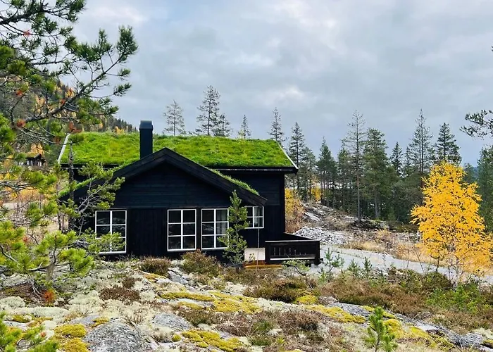 Storekleiv Hyttefelt Tuddal