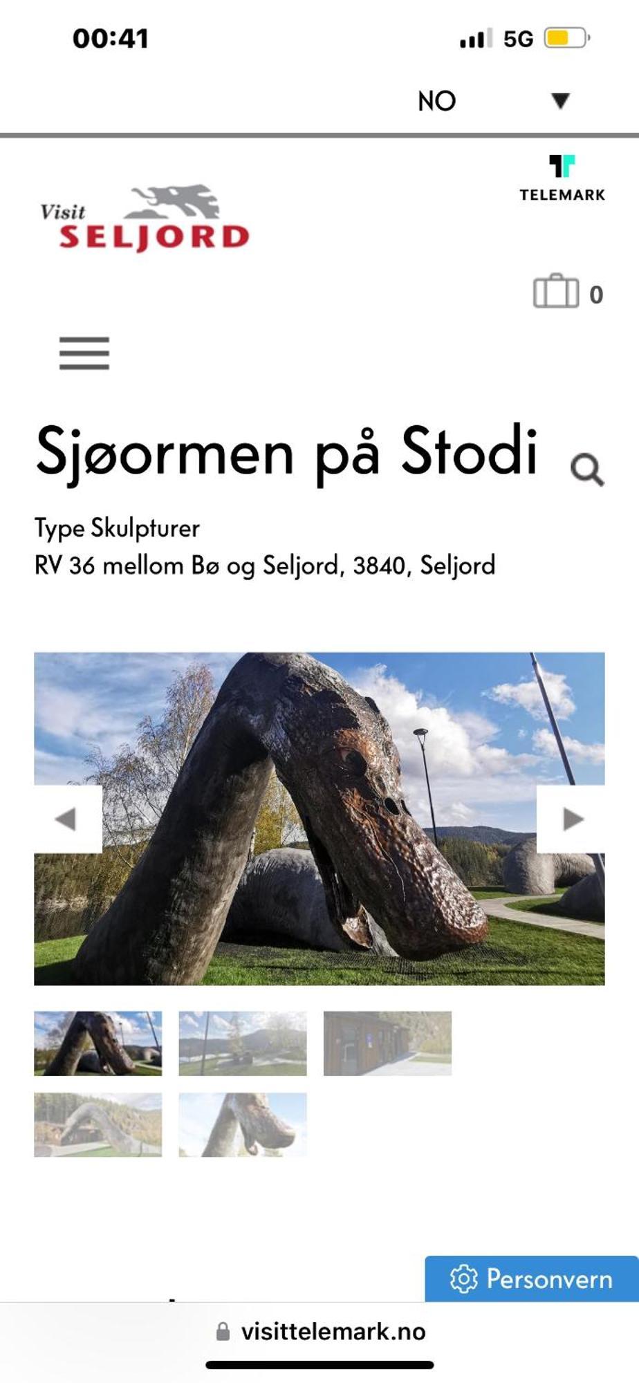 Storekleiv Hyttefelt Tuddal